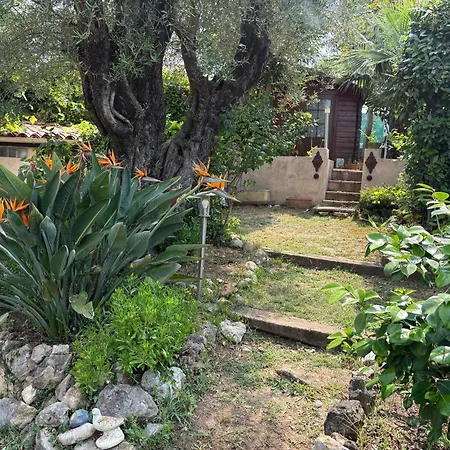 Magnifique Maison 6 Personne Piscine Villa